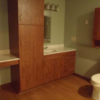 A bathroom featuring wooden cabinetry, a countertop with a sink, and a mirror above. There is also a toilet visible in the corner.