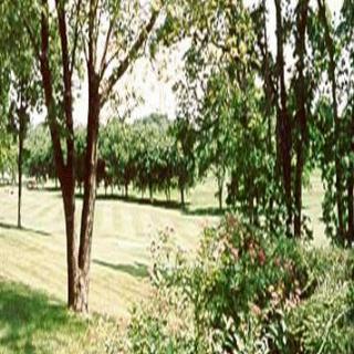 A scenic view of a lush green park with trees and shrubs.