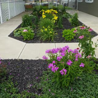 A beautifully landscaped garden featuring vibrant purple and yellow flowers surrounded by lush greenery.