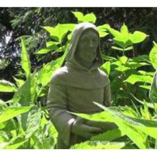 A statue of a hooded monk surrounded by lush green plants in a garden setting.