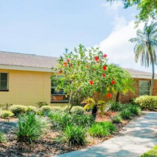 A well-maintained garden with a variety of plants and a tree in front of a yellow house.