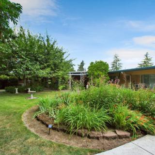 A beautifully landscaped garden with a variety of plants and trees under a clear blue sky.