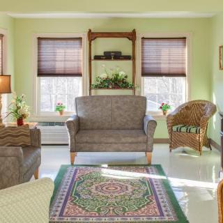 A bright and cozy living room featuring a sofa, armchair, rattan chair, decorative rug, and house plants by the window.