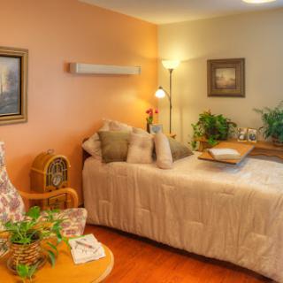 A cozy and inviting bedroom setup featuring a bed, decorative pillows, plants, and warm lighting.