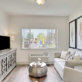 A modern living room with sleek furniture and bright natural lighting.
