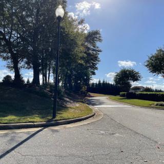 A sunny street corner with trees and a lamp post.