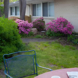 A peaceful garden with blooming pink flowers and a patio set.