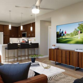 Modern open-plan living room and kitchen with a cozy ambiance.