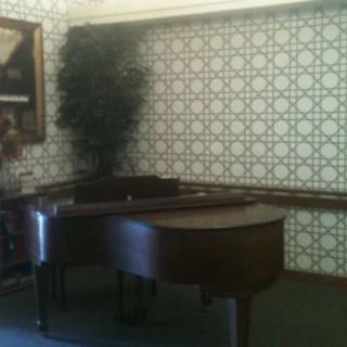 A vintage-style room featuring a grand piano next to patterned wallpaper and a potted plant.