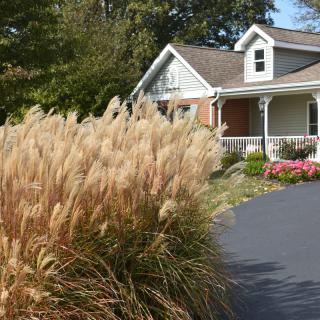 A charming house with a well-maintained garden and ornamental grasses lining the driveway.
