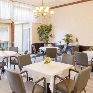 A cozy dining area with neatly arranged tables and chairs, adorned with indoor plants and a chandelier.