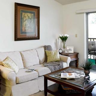 A cozy living room with a comfortable sofa, decorated with pillows and a painting on the wall. A wooden coffee table sits in front of the couch, and greenery adds a touch of nature to the space.