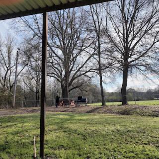 A peaceful outdoor scene featuring tall trees and a grassy area under a clear sky.
