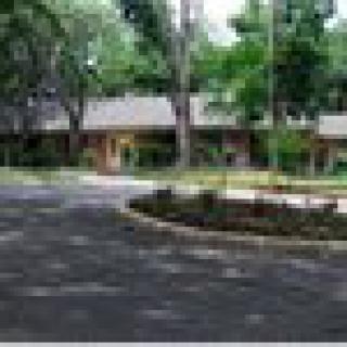 A suburban house surrounded by trees with a paved driveway.