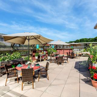 A sunny outdoor patio with tables, chairs, and umbrellas surrounded by plants.