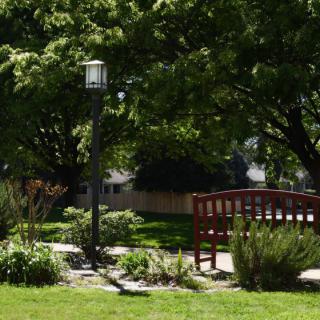 A peaceful garden scene featuring a red wooden bench and a lamp post surrounded by lush greenery and trees.