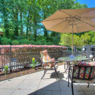 A sunny patio area with outdoor furniture and an umbrella, surrounded by lush greenery.