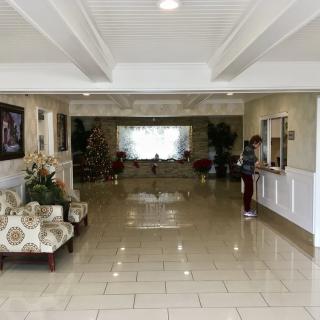 A spacious lobby area with seating, decorated with plants and a Christmas tree.