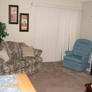 A cozy living room featuring a patterned sofa, a blue armchair, carpeted floor, and vertical blinds covering a large window.