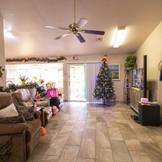 A cozy living room decorated for the holiday season, featuring a Christmas tree and comfortable seating.