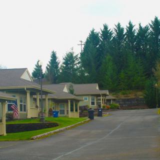 A residential neighborhood with houses lining a curved driveway, set against a backdrop of tall trees under an overcast sky.