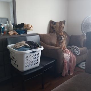 A cozy living room scene featuring a couch, laundry basket, and some clutter.