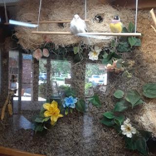 A vibrant aviary featuring colorful birds and decorative flowers.