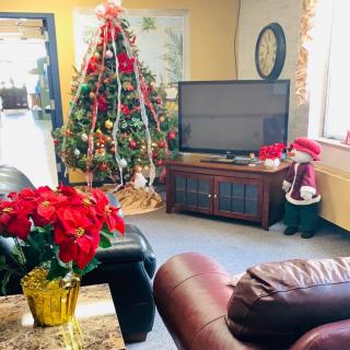 A cozy living room decorated for the holiday season with a Christmas tree and poinsettias.