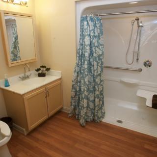 A cozy bathroom with a shower, vanity, and wooden flooring.