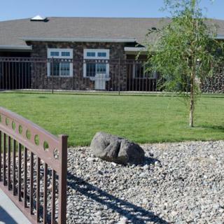 A house with a landscaped yard featuring grass, a tree, and decorative rocks.