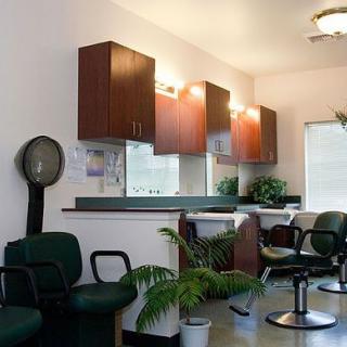 A modern hair salon with chairs, mirrors, and potted plants.