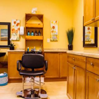 A cozy hair salon with a barber chair, mirrors, and decorative elements.