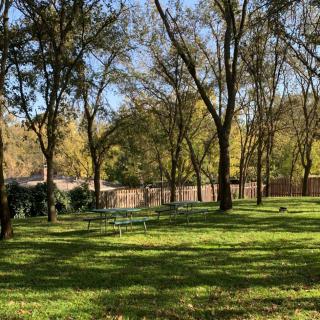 A peaceful park scene with sunlight filtering through the trees onto a grassy area.