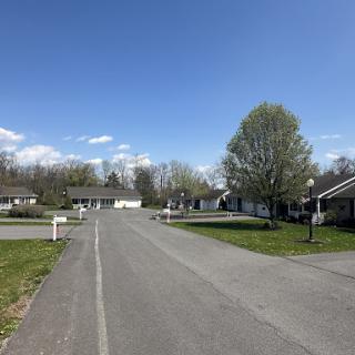 A tranquil residential neighborhood under a clear blue sky.