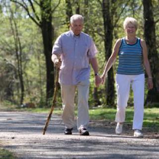 An elderly couple holding hands and walking along a park path.