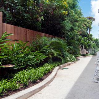 A lush garden pathway lined with vibrant greenery and a wooden fence on a sunny day.