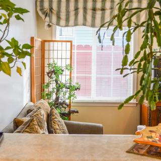 A cozy living room filled with indoor plants and natural light streaming through the window.