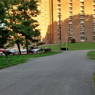 A serene urban scene featuring a winding road lined with trees and an apartment building in the background.