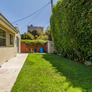 A sunny backyard with a green lawn bordered by tall hedges and a wooden fence, featuring a small shed in the corner.