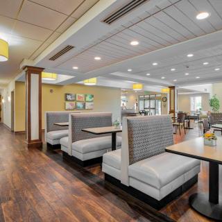 A modern restaurant dining area featuring comfortable booths and stylish lighting.