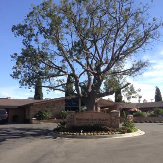 A large tree stands in front of a building on a sunny day.