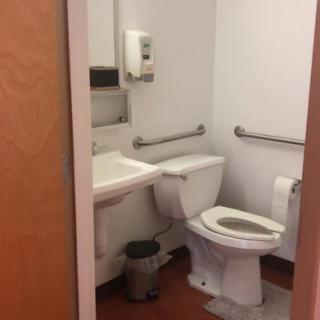A small, accessible bathroom with a toilet and sink featuring safety handrails.