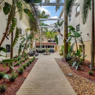 A tropical courtyard with palm trees lining a wooden pathway between apartment buildings.