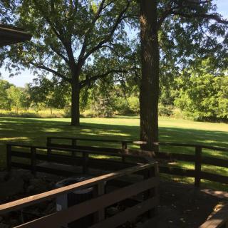 A sunny outdoor scene with trees, a wooden fence, and a grassy field.