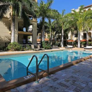 A beautiful resort pool surrounded by palm trees on a sunny day.