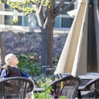 A person relaxing on a patio under the sunshine, surrounded by outdoor furniture and trees.