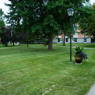 A serene park setting with a well-maintained lawn, trees, and a lamp post, adjacent to a building.