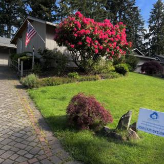 A suburban house with a well-maintained garden, featuring a flowering tree and an American flag.