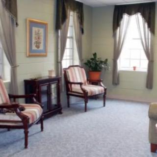 A cozy living room with elegant chairs, large windows, green curtains, and a potted plant.