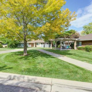 A suburban neighborhood with a house, tree, lush lawn, and a sidewalk.